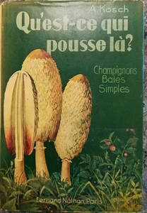 Qu'est ce qui pousse là? champignons baies simples | A.Kosch | Bon état - Picture 1 of 2