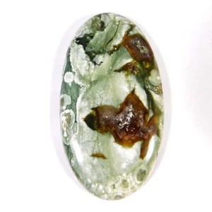 54.90Cts. Natural Untreated Rainforest Rhyolite Oval Cabochon Loose Gemstone - Picture 1 of 3
