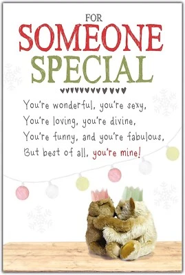 SNUGGLY BUMKINS Christmas Card For Someone Special Romantic One I Love Xmas Loved Greeting Cards