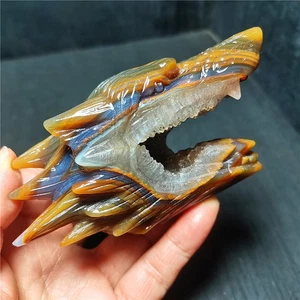 TOP 264.5G Natural Colorido Ágata Cristal Geoda Tallada a Mano Cabeza de Lobo R2001 - Imagen 1 de 20