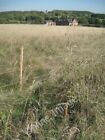 Photo 6x4 New hedge planting beside Heart of England Way Lowsonford In th c2011