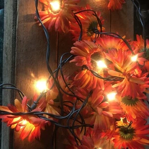 20 String Of Gerbera Daisy Flowers Fairy Lights Electric Plug In Retro - Picture 1 of 10