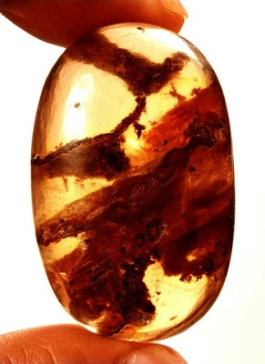 46.90 Cts. Natural Genuine Old Baltic Amber Untreated Certified Gemstone - Image 1 of 4