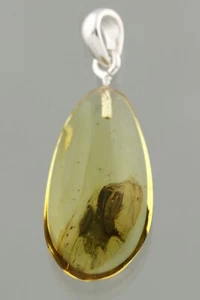 Fossil Insect CLICK BEETLE Genuine BALTIC AMBER Silver Pendant 1.5g 240904-18 - Picture 1 of 7