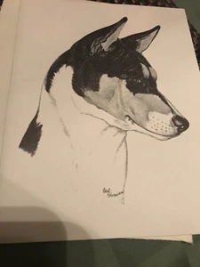 Earl Sherwin- Basenji Note Card & Env. Dated 1962! Rare And Collectible - Picture 1 of 5
