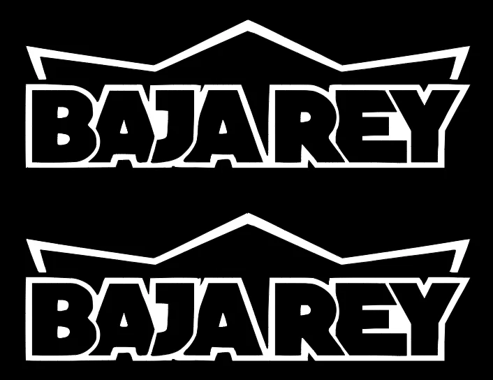 LOSI    BAJA REY    DIE-CUT  Decal  Sticker   (  2 PCS  )  Offroad  RC Truck NEW - Image 1 of 1