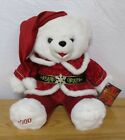 Vintage 2000 Plush Snowflake Teddy CHRISTMAS SANTA BEAR Boy 22" Dan Dee