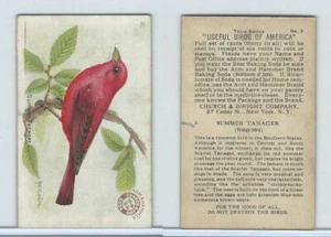 J7, Church & Dwight, Useful Birds America 3rd Ser., 1922, #2 Summer Tanager - Bild 1 von 1