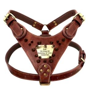 Brown Genuine Leather Dog Harness Personalized Nameplate Spiked Studded Pitbull - Picture 1 of 11