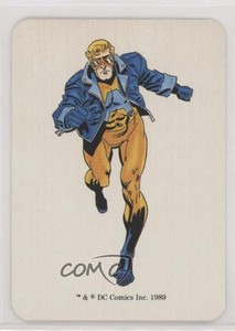 1989 Mayfair Games DC Heroes Animal-Man 0x1m