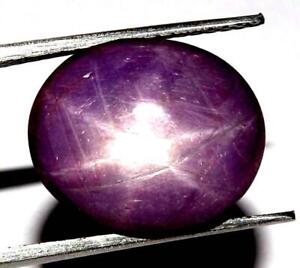 11.90 cts Natural Pink Star Sapphire Cabochon Untreated Gemstone #assp08
