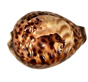 Hand Carved Cypraea Tigris Cowrie Shell with Elephant Scene – 3” Vintage Decor - Picture 1 of 4