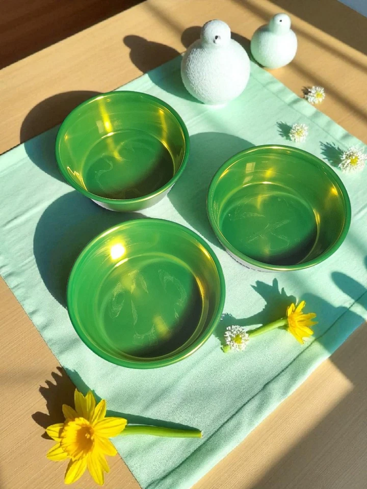 Paquete de 3 cuencos grandes de acero inoxidable para perros Platinum Pets verde Foto 1 de 1