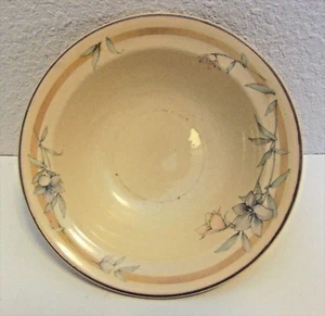 Noritake Keltcraft IRLANDA Kerry Spring Bowl 7" 9133  - Imagen 1 de 8