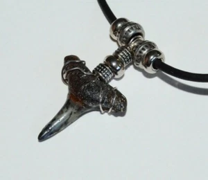 Sterling Silver Wire Wrapped Bull Lemon Shark Tooth Teeth Fossil Jewelry Pendant - Picture 1 of 12
