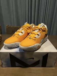Nike Paul George PG 6 TB University Gold DX6654-701 Herren Größe 12,5 - Bild 1 von 6