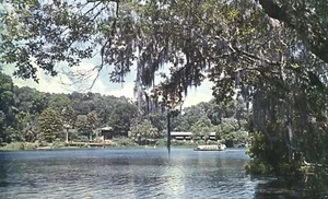 Rainbow Springs Florida Untertyp Boot Unterwasser malerische Safari Postkarte - Bild 1 von 2
