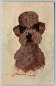 Antigua postal de perro caniche blanco de la década de 1910 firmada por artista F20 - Imagen 1 de 2