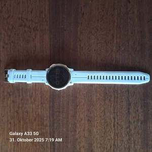 Garmin Fenix 6s Plus – Roségold mit weißem Silikonarmband - Bild 1 von 1