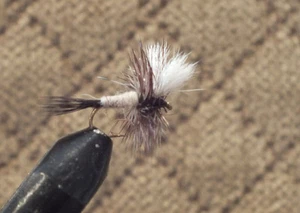 Ausable Wulff Trout Fly Size 18 - 1 Dozen Dry Flies F721 - Picture 1 of 1