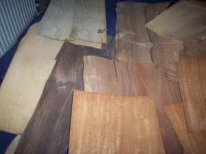 Large Box Of Wood Veneers mixer of Pieces range of sizes Ref 91A - Picture 1 of 5