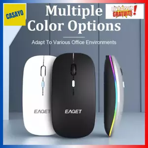 Souris Sans Fil LED RGB - Bluetooth & 2.4G - Ergonomique & Silencieuse PC, Mac - Photo 1/19