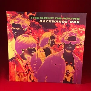 SOUP DRAGONS Backwards Dog 1989 UK 12" vinyl single EXCELLENT CONDITION # - Picture 1 of 4