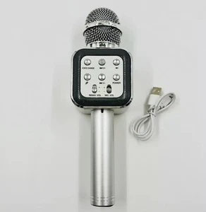 Wireless Bluetooth Handheld Karaoke Microphone Speaker Player Kids Party Silver - Picture 1 of 6