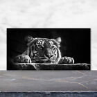 Kchenrckwand Spritzschutz aus Glas 120x60 Deko Tiere Tiger