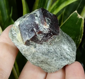 Schöner Granat Almandin Granatenkogel 5x3,5cm Tirol Österreich Mineral Sammlung - Bild 1 von 8
