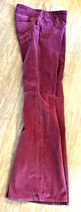 Free People We The Free Burgundy Corduroy Pull-on Flare Pants 28 Boho Hippie - Picture 1 of 13
