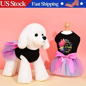 Falda de perro mascota tutú vestido pequeño perro princesa vestido chihuahua cachorro gato ropa EE. UU. - Imagen 1 de 6