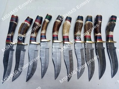 LOTE DE 25 CUCHILLOS DESOLLADORES DE ACERO DAMASCO HECHOS A MANO DE 10 PULGADAS CIERVO\ANTLER CON FUNDA A2 Foto 1 de 4