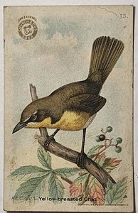 Antike 1918 Arm und Hammer gelb-brustige Chat Sammelkarte #13, 2. Serie, EUC - Bild 1 von 7