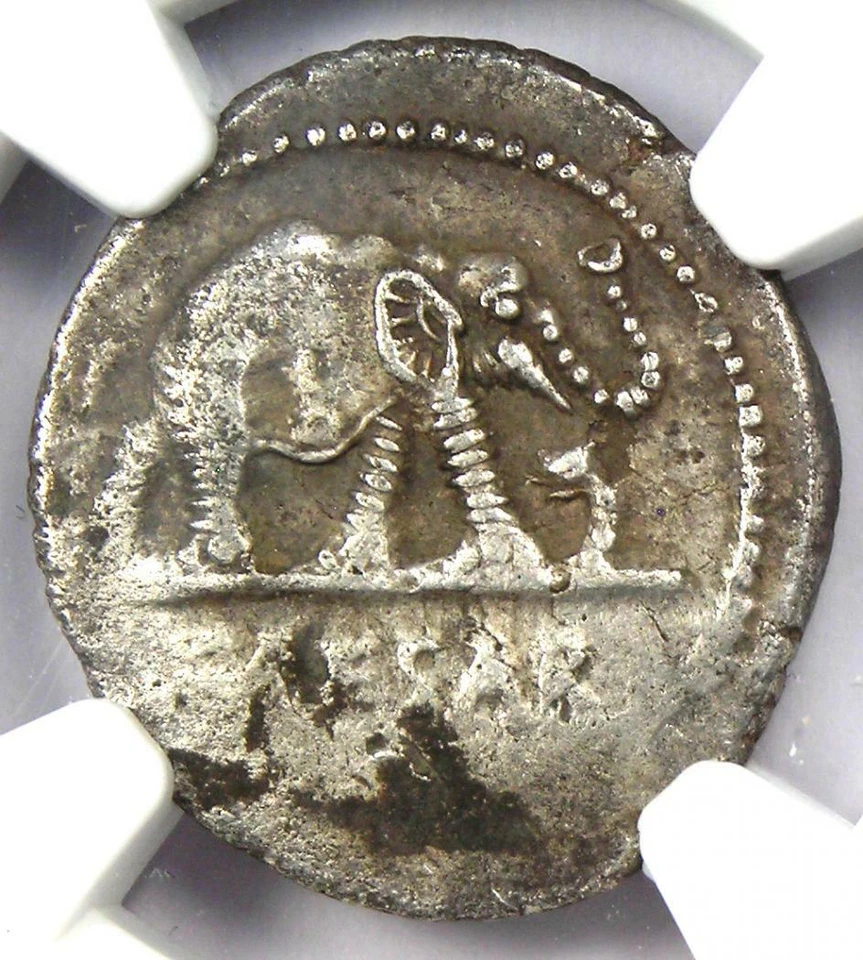 Julius Caesar AR Denarius Silver Elephant Roman Coin 49 BC - NGC Choice XF (EF) - Image 1 of 4