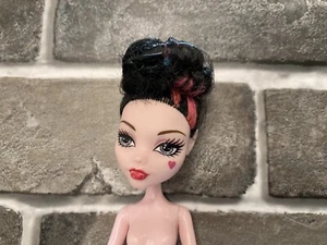 2008 muñeca Mattel Monster High Draculaura - Imagen 1 de 5