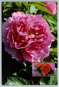 #5057 Chinese Lunar New Year FDC Maxi Card on China PC - Picture 1 of 2