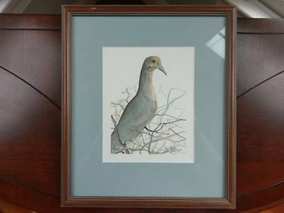 P. Buckley Moss Signed Print 'Grey Dove' Art 1988 Framed Numbered 53 / 1000 Bird Foto 1 de 4