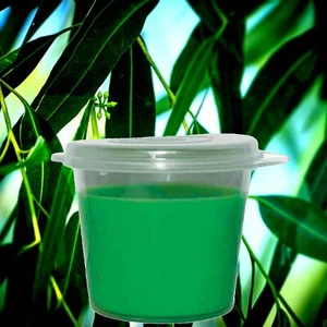 Australian Eucalyptus Luxury Scented Large Candle Melts 15/30 Pack - Picture 1 of 8