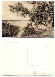 104567 - Arendsee (Altmark) - Echtfoto - alte Ansichtskarte - Imagen 1 de 1
