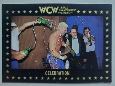 1991 Championship Marketing WCW #83 STING CELEBRATION - Image 1 of 2