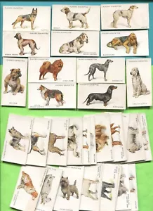 1931 JOHN PLAYER & SONS DOGS FROM PAINTINGS ARTHUR WARDLE 50 TOBACCO CARD SET - Picture 1 of 3
