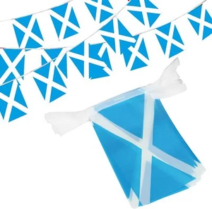 Anley Scotland String Flag Pennant Banners 33 Feet 38 Flags - Picture 1 of 7