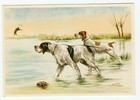 ENGLISH SETTER AND GERMAN SHORTHAIRED POINTER DOGS LOVELY OLD DOG ART POSTCARD 
