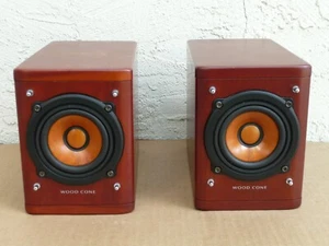 Altavoces de cono de madera de gama completa JVC SP-EXD1 - Imagen 1 de 17