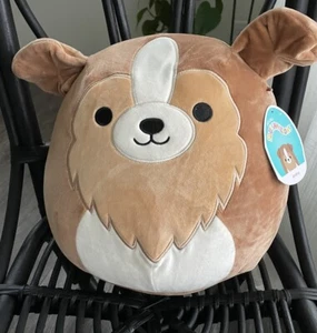 Squishmallow Andres 12 Zoll The Sheltie Dog Stofftier Plüschtier Spielzeug Neu mit Etikett selten Rarität - Bild 1 von 12