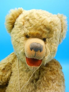 Vintage 2000 German Artist Brown Mohair *Siggi Bears* FIMM by Sigrid Skomudek - Bild 1 von 11