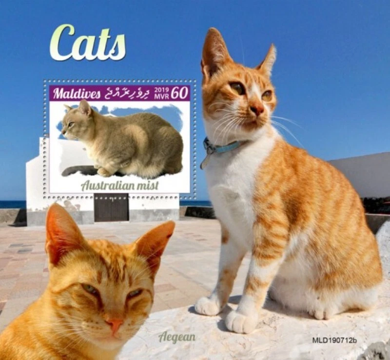 Maldives - 2019 Cat Breeds on Stamps - Stamp Souvenir Sheet - MLD190712b - Image 1 of 1