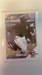 Luis Valdez 2022 Shorebirds Team Set Baltimore Orioles In Person Autograph