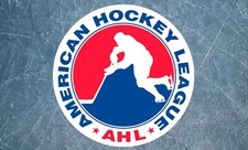 2023-24 AHL Minor Hockey Schedule Magnets 5" X 3.5"(Choose From List)
